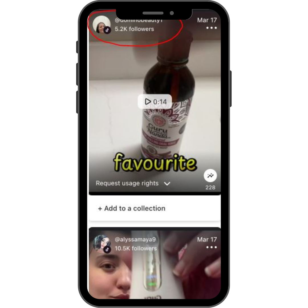 DTC Influencer Whitelisting